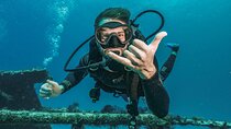 Daily Scuba Diving Adventure & Lunch Experience - Sharm El Sheikh