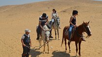 Horse Ride Adventure 1 Hour Through the Desert: Sharm El Sheikh