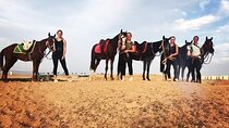 Experience Horseback Riding in the Desert For 1 Hour - Hurghada