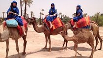 Palmeraie Camel Trek: A Traditional Ride in Marrakech