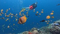 Bali: Nusa Lembongan Snorkeling-Island Tour Daytrip-All Inclusive