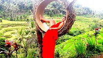 Incredible Day Trip to Ubud