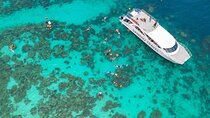 Similan Islands Discovery Day Trip by Catamaran from Phuket