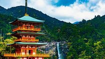 Kumano Kodo Private Guided Tour from Kumano Hongu Taisha
