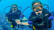 Scuba Diving Adventure With Transfers in Dubai