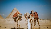 Giza pyramids , sphinx with tour Guide Egyptology & private vehicle