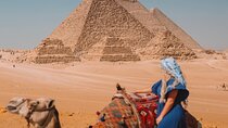 Luxury Private Tour Giza pyramids ,Sphinx ,Camel Rid and Lunch