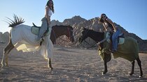 Experience Two Hours Horseback Riding In the Desert :Marsa Alam