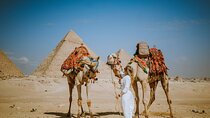 Cairo Stopover-day tour from Cairo airport Visiting Giza Pyramids 