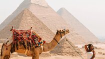 4-Hours Private Giza Pyramids,sphinx,Lunch,Camel & Inside Pyramid