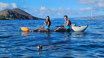 Turtle Town Clear Kayak and Snorkel Tour (7am-9:30am)