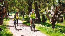 Teotihuacan Biking Tour with History and Pulque Tasting