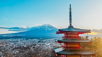 English-speaking Guided Tour:Mount Fuji & Hakone, Private Vehicle