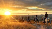  Cappadocia Horseback Riding 