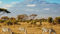 7 Days 6 Nights Kenya Bush Private Safari