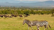 3 Days Safari to Ol Pejeta Conservancy from Nairobi
