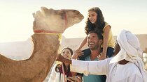 Dubai Red Dune Desert Safari BBQ Dinner, Camel Ride & Live Shows