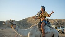 Camel Ride in Stunning Desert & Transfer - Sharm El Sheikh