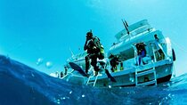 Full Day Coral Garden Diving & Snorkeling with Lunch :Marsa Alam