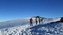 7 Days Mount Kilimanjaro Machame Route