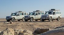 Super Safari by Quad, Jeep, Camel, Dinner & Village :Marsa Alam