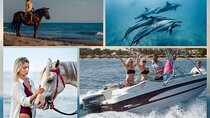 Private Speedboat Trip to Dolphin House & Riding Horse - Hurghada