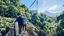 Half-Day Tour with Hanging Bridges and La Fortuna Waterfall