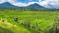Full Day Private Guided Tour in North Bali