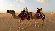 Morning Red Dune Safari with Camel Trekking and sand boarding 