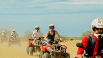 Quad Biking and Sandboarding on Sand Dunes Wild Beach