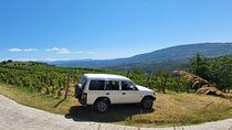 Private Slovenia's Coast Wine and Food Tasting