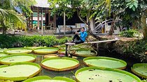 3-Day Guided Tour with Stay and Discovery in Mekong Delta