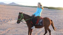 Horse Ride & Egyptian Show With Bedouin Dinner - Sharm El Sheikh