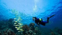 Explore Further PADI Advanced Diving Course :Marsa Alam