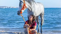 Horse Riding 2 Hours Desert and Sea adventure from Hurghada