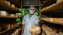 Private Guided Tour of Cheese in Canaan de Rivas
