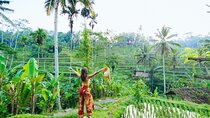 Ubud: Waterfall, Rice Terraces, and Monkey Forest Private Tour