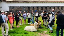 Historical Walking tour of Cusco English