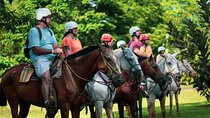 Horseback Riding and Waterfall in Jacó