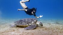 Private Abu Dabbab Over Day Snorkeling with Turtles - Hurghada