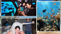 Conquest Semi Submarine Snorkeling Trip & Turkish Bath - Hurghada