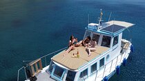 Mykonos boat tour from Cruise Terminal-Small Group (new product)