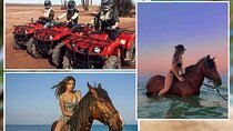 Horse Riding & ATV Quad Safari Trip - Sharm El Sheikh