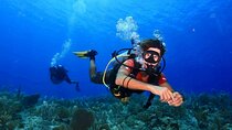 Tulum Diving (Reef) 2 Tanks