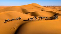 3 Days Morocco Desert Tour to Erg Chigaga From Taghazout
