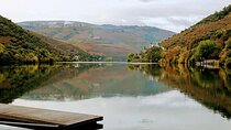 Tour privado do Porto ao Pinhão: caminhada e vinhos.