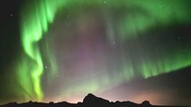Reykjavik Northern Lights Evening Adventure Guided Tour 