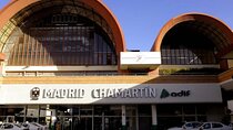 Private Transfer Station Train from Chamartin to Madrid
