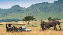 4day Maasai Mara, Lake Nakuru, and Lake Naivasha