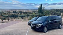 Private Tour to Toledo Half Day by Minivan
